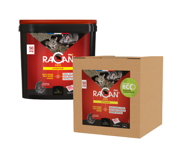 Racan Pâte