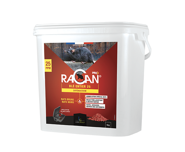 RACAN Souricide Foudroyant Grain - LODIGROUP Hygiène Rurale