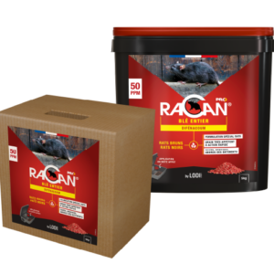 Racan Blé Entier
