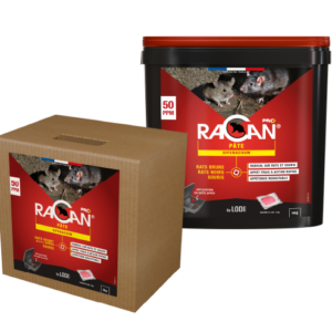 Racan Pâte