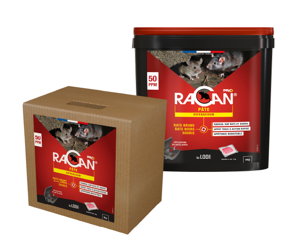 Racan Pâte