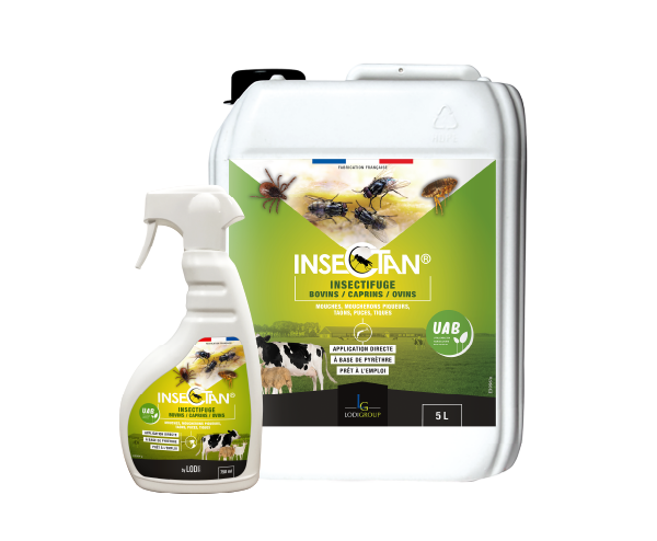 Insectan Insectifuge Bovins - Caprins - Ovins